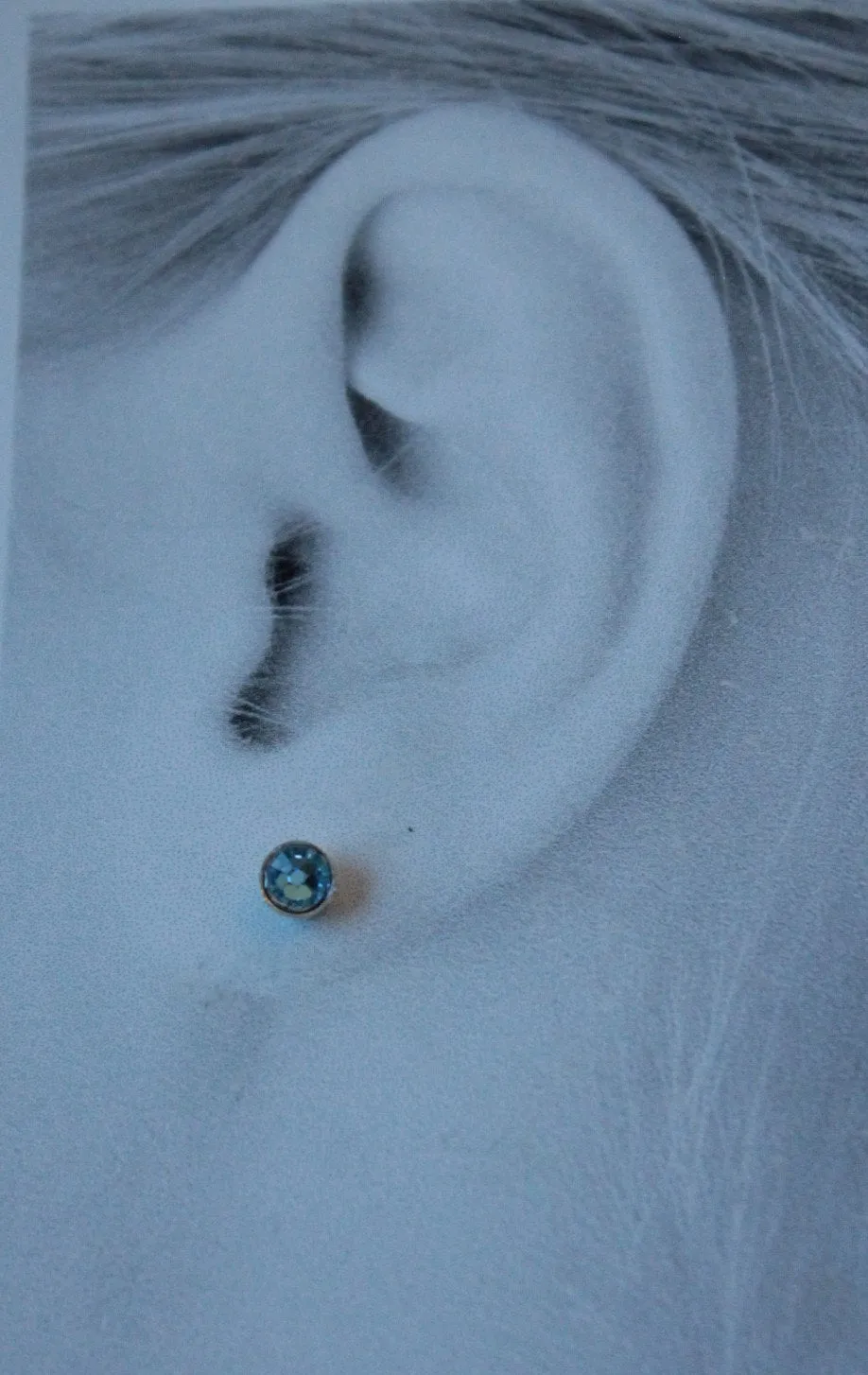 Aquamarine Crystal Bezels (Pure Titanium Post Earrings)
