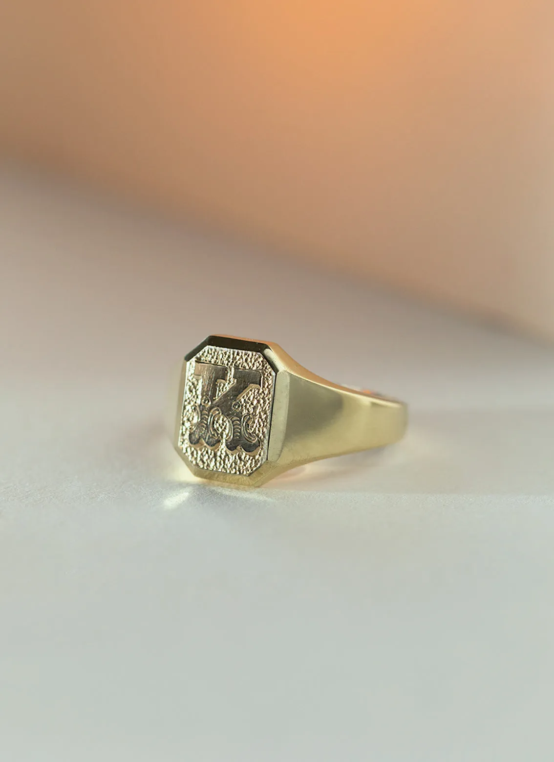 The gent woody signet ring 14k gold